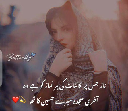 BaRbaD Tha yaZeed, BaRbaD RaHygA.. NaAm E HuSsaiN HasR TaK AaBaaD RahyGa..💯