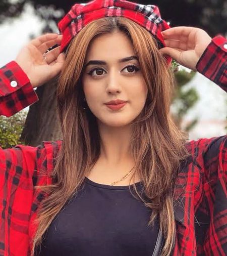 TikTok Stars image