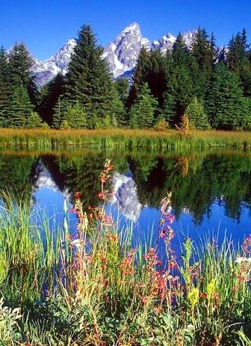 Beautiful Nature image