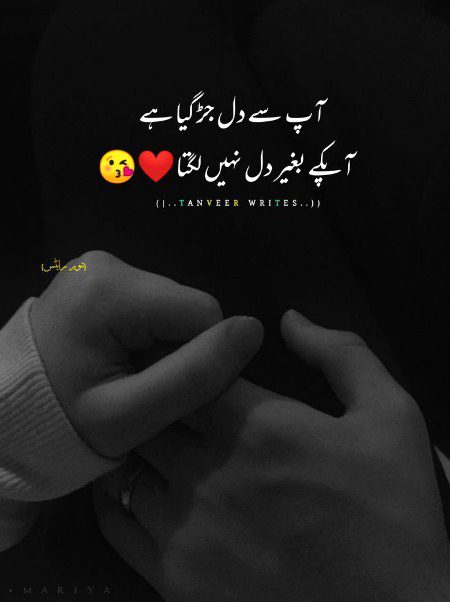 Sch h S ji