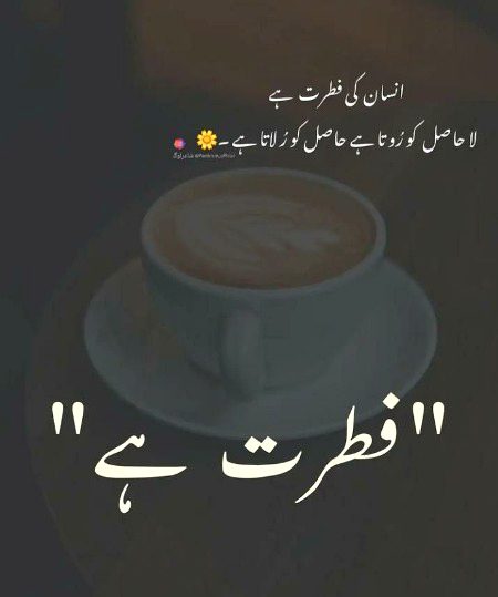 Advice