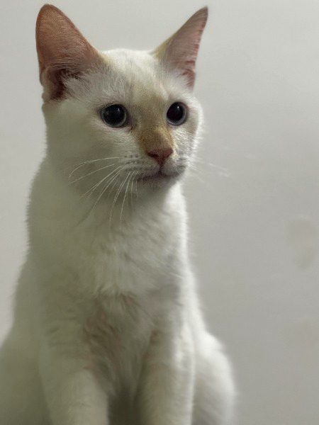 Beautiful Nature image