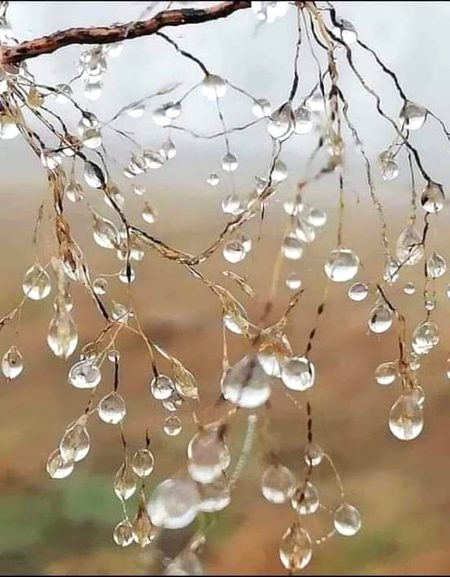 یہ جون کا مہینہ 🌙
یہ بارش کا موسم☔
یہ ٹھنڈی ہوائیں💨
یہ مٹی کی خوشبو،
یہ سنہری یادیں😌
یہ ہواؤں کی سنسناہٹ
کھڑکی پر دستک دیتی بارش کی بوندیں😍🌧️
یہ بکھری ادھوری شاعری
اور گرماگرم چائے۔۔۔۔
💕