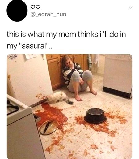 Memes & Satire image