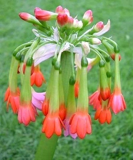 Beautiful Nature image