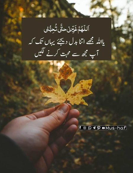 Islamic Quotes image