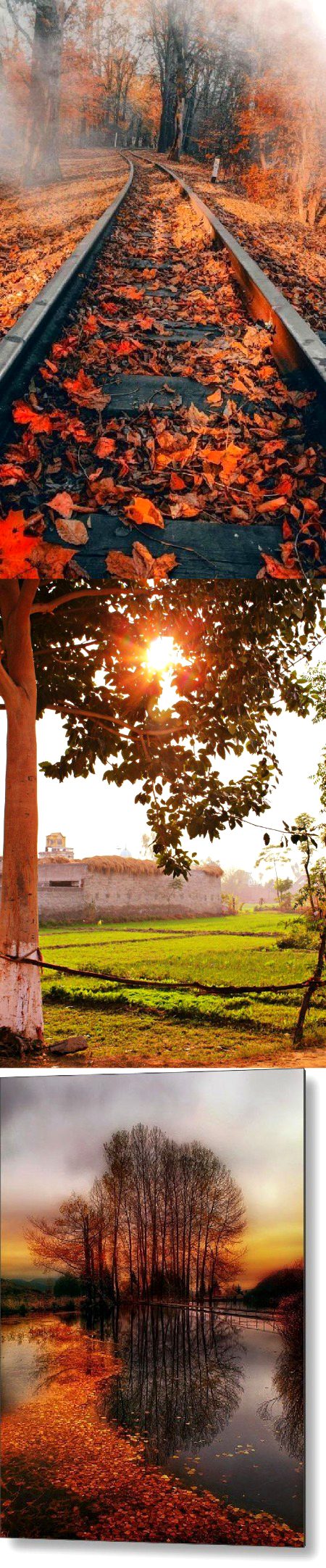 Beautiful Nature image