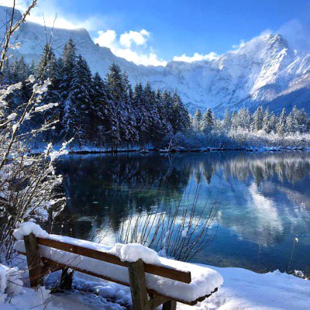 Beautiful Nature image
