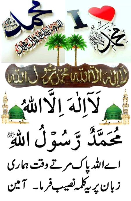 Islamic Quotes image