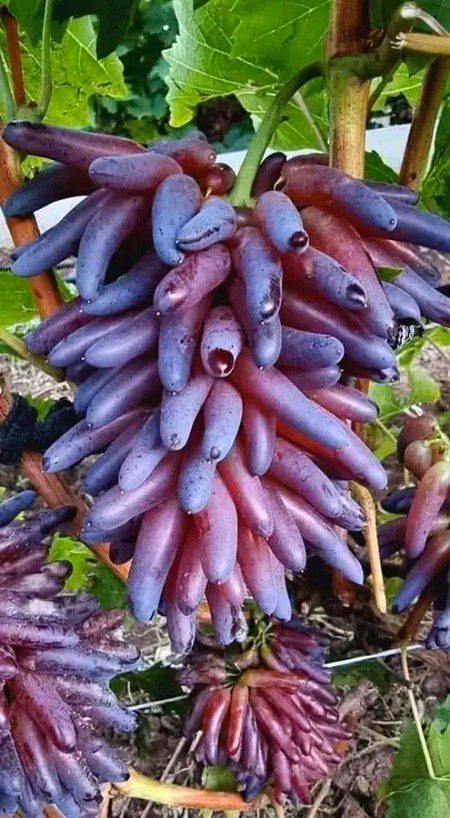 Beautiful Nature image