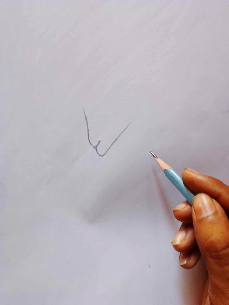 W.✏️✏️ Dublio banaya hai Maine ab esko aagye kaise banaao me ✏️✏️✏️😀