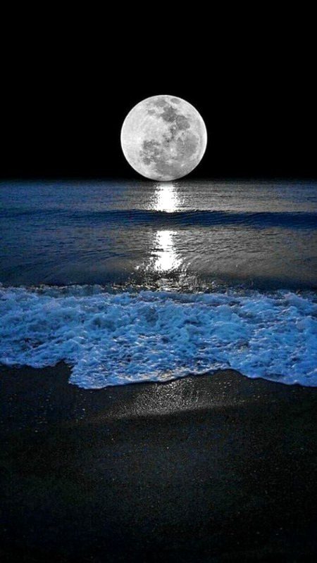 Beautiful Nature image