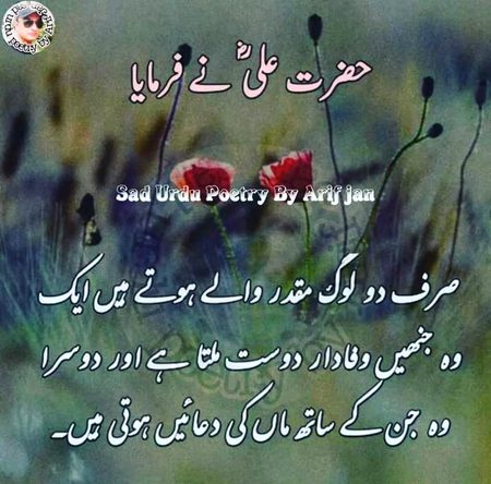 S.Haider