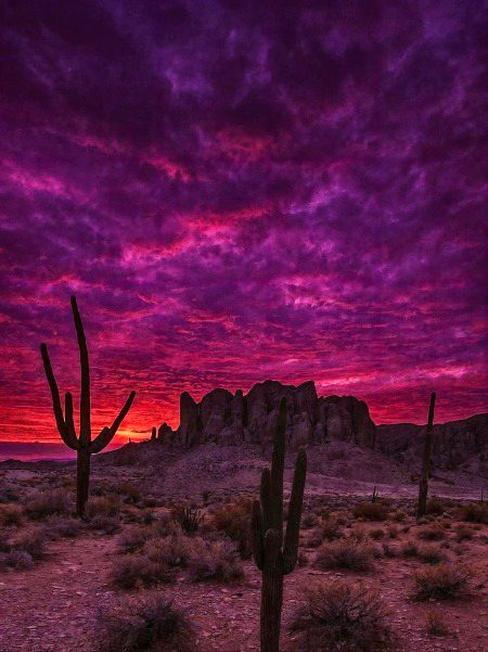 Beautiful Nature image