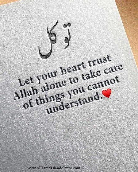 🍂 غموں کو دور بھگانے کے لیے، صراط مستقیم کو پانے کے لئے، ہر اندھیرے راستے سے نکلنے کے لئے، توکل علی اللہ شرط ہے۔ توکل میں وسوسے نہیں ہوتے، بلکہ کامل بھروسہ ہوتا ہے۔ پتہ ہوتا ہے کہ جب اللہ نے ذمہ لیا ہے تو پار بھی لگا دے گا. اس لیے اللہ پر بھروسہ رکھتے ہوئے سفر جاری رکھیں❣️
✍️