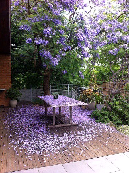 Beautiful Nature image