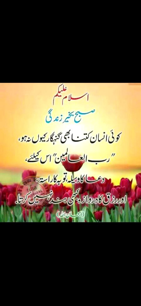 Love u zindgi ❤️❤️❤️❤️