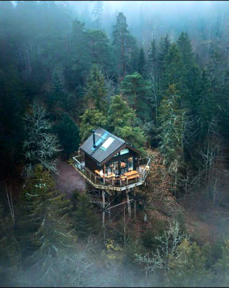 Beautiful Nature image