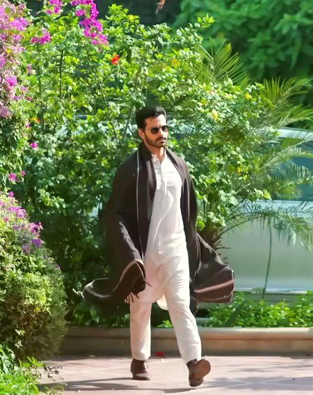 Pakistani Celebs image
