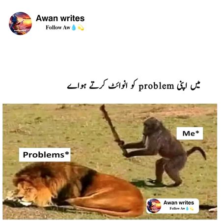 Memes & Satire image