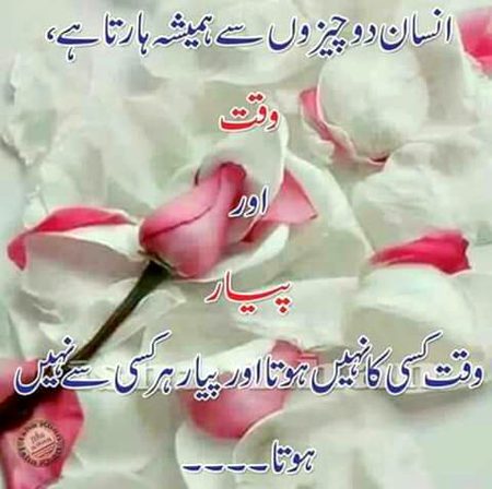 bilkul 🌹🍀🌹🍀🌹🍀