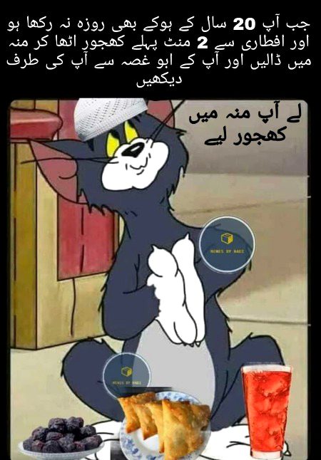 Memes & Satire image