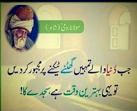 🍁Zoq_Shab🍁