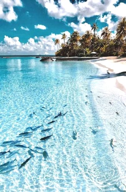 Beautiful Nature image