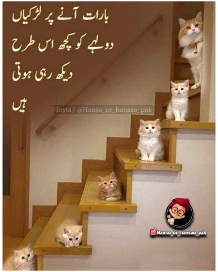 Memes & Satire image