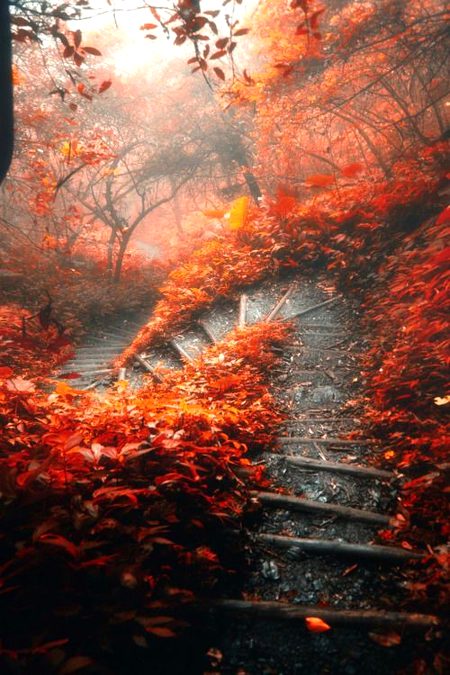 Beautiful Nature image