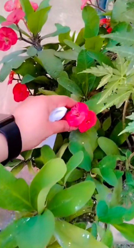 Beautiful Nature image