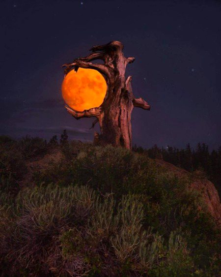 Beautiful Nature image