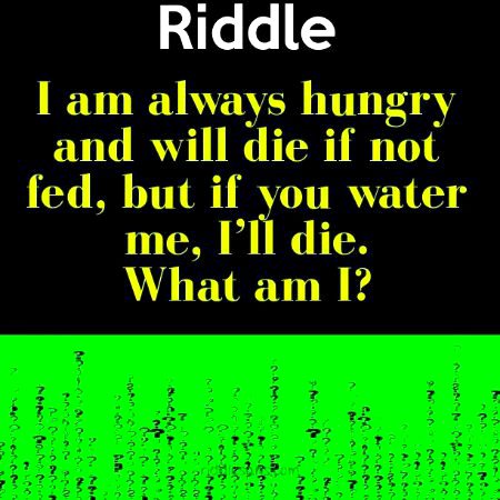 Riddles & Puzzles image