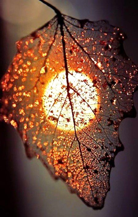 Beautiful Nature image