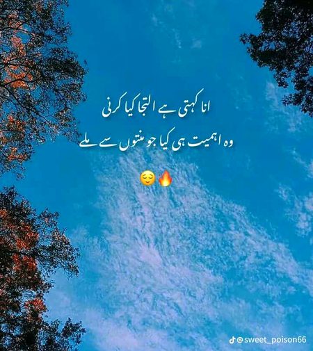 Bilkul 💯🤨😏