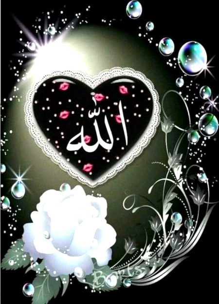 Islamic Quotes image