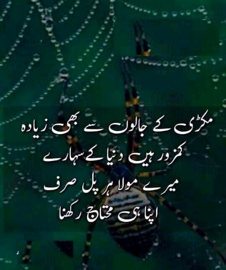 Islamic Quotes image