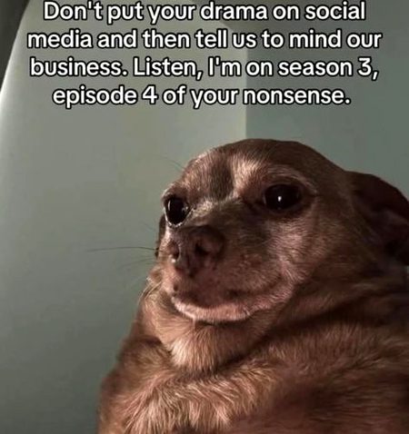 Memes & Satire image