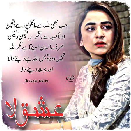 Romantic Novels image