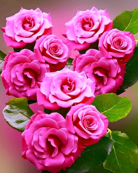 Beautiful Nature image