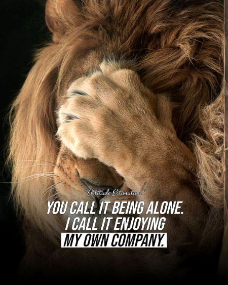 Attitude Quotes image
