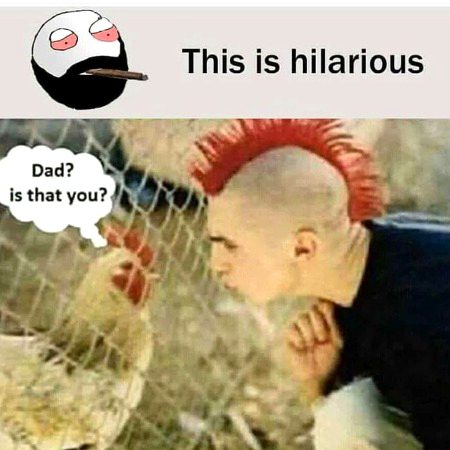 Memes & Satire image