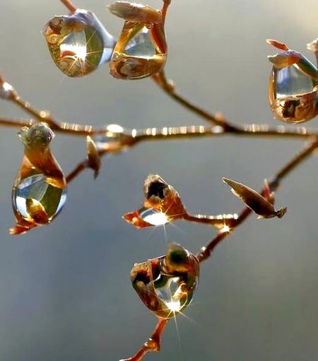 Beautiful Nature image