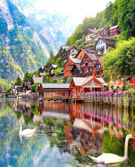 Beautiful Nature image