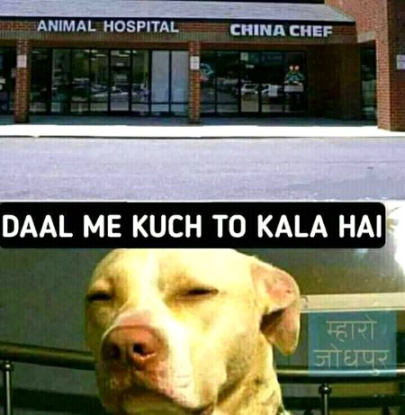kaat lenge bc