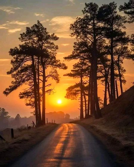 Beautiful Nature image