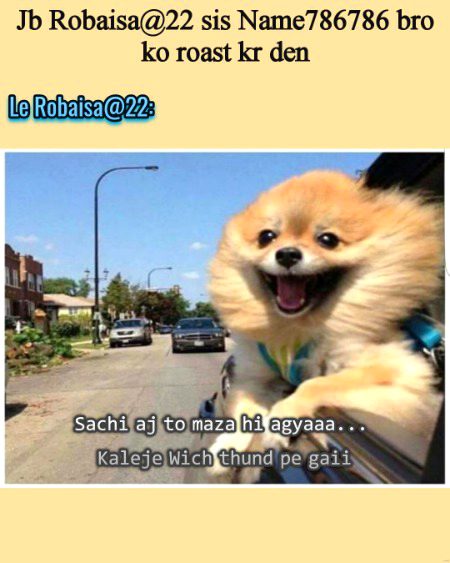 Damadam Roasting image