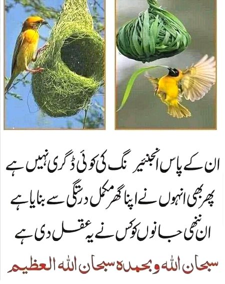 Interesting Posts image