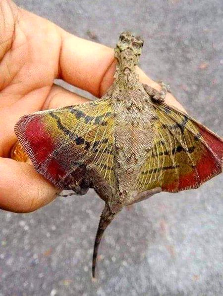 Beautiful Nature image