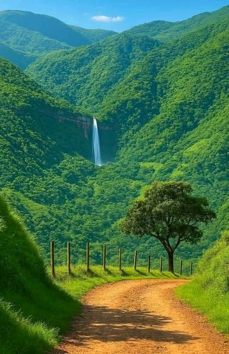 Beautiful Nature image